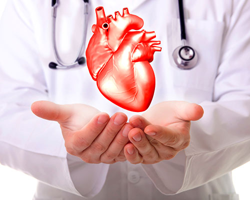Curso Superior Trienal de Cardiología 2025-2028