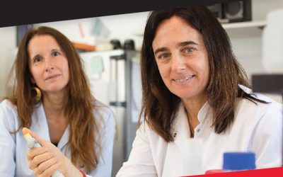 Nuevo número de la revista digital De Ambo